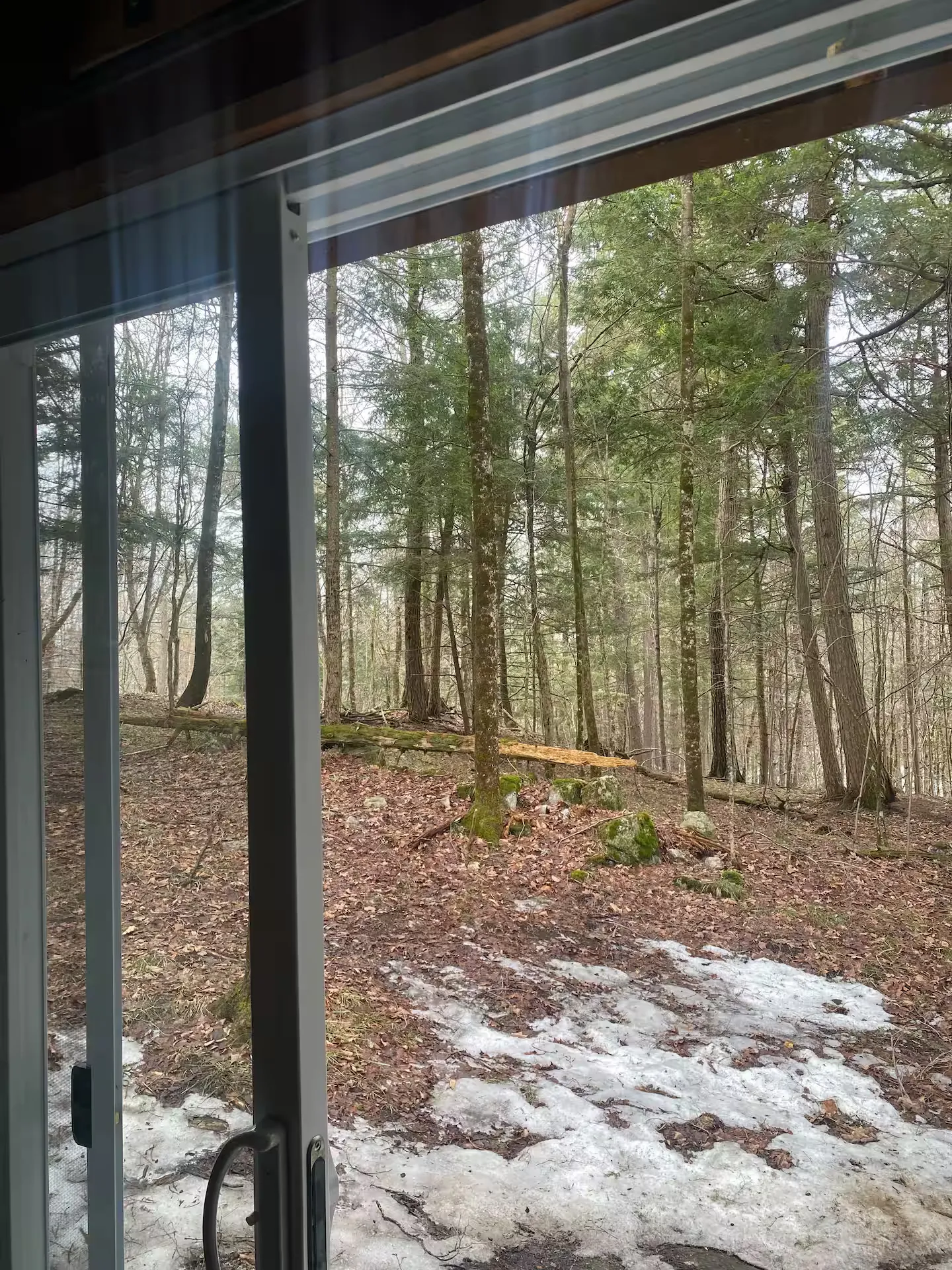 The Cedar Cabin — Additional Photos (2)