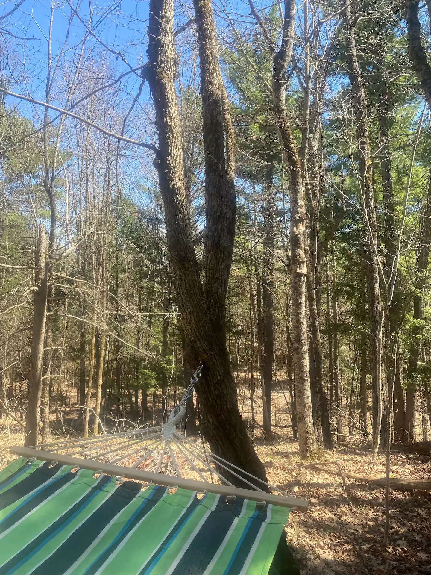 The Cedar Cabin — Exterior (6)