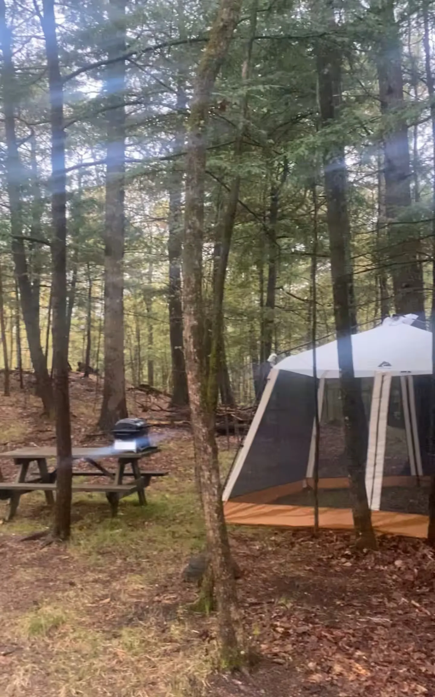 The Cedar Cabin — Exterior (8)