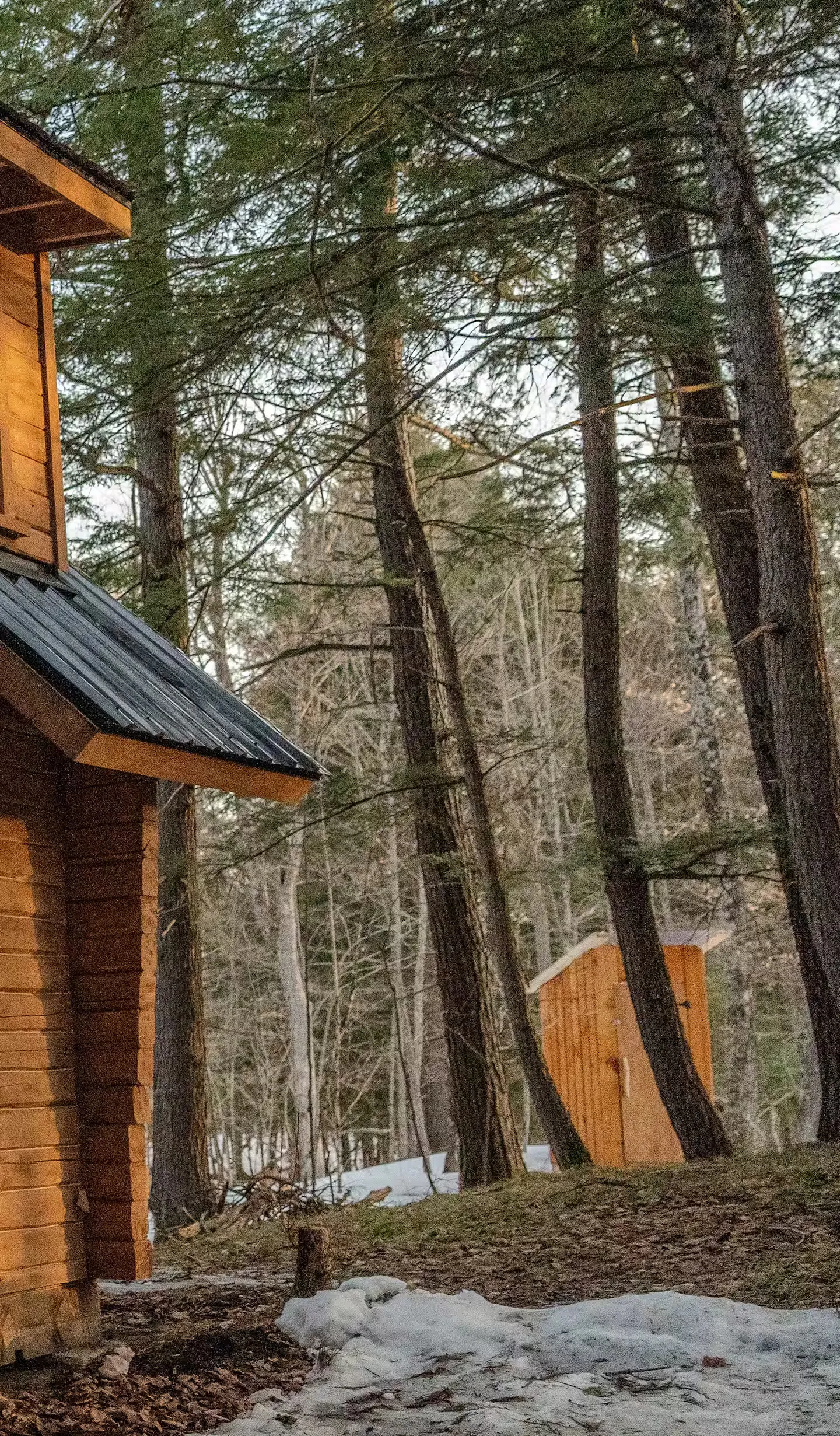 The Cedar Cabin — Bathroom (1)