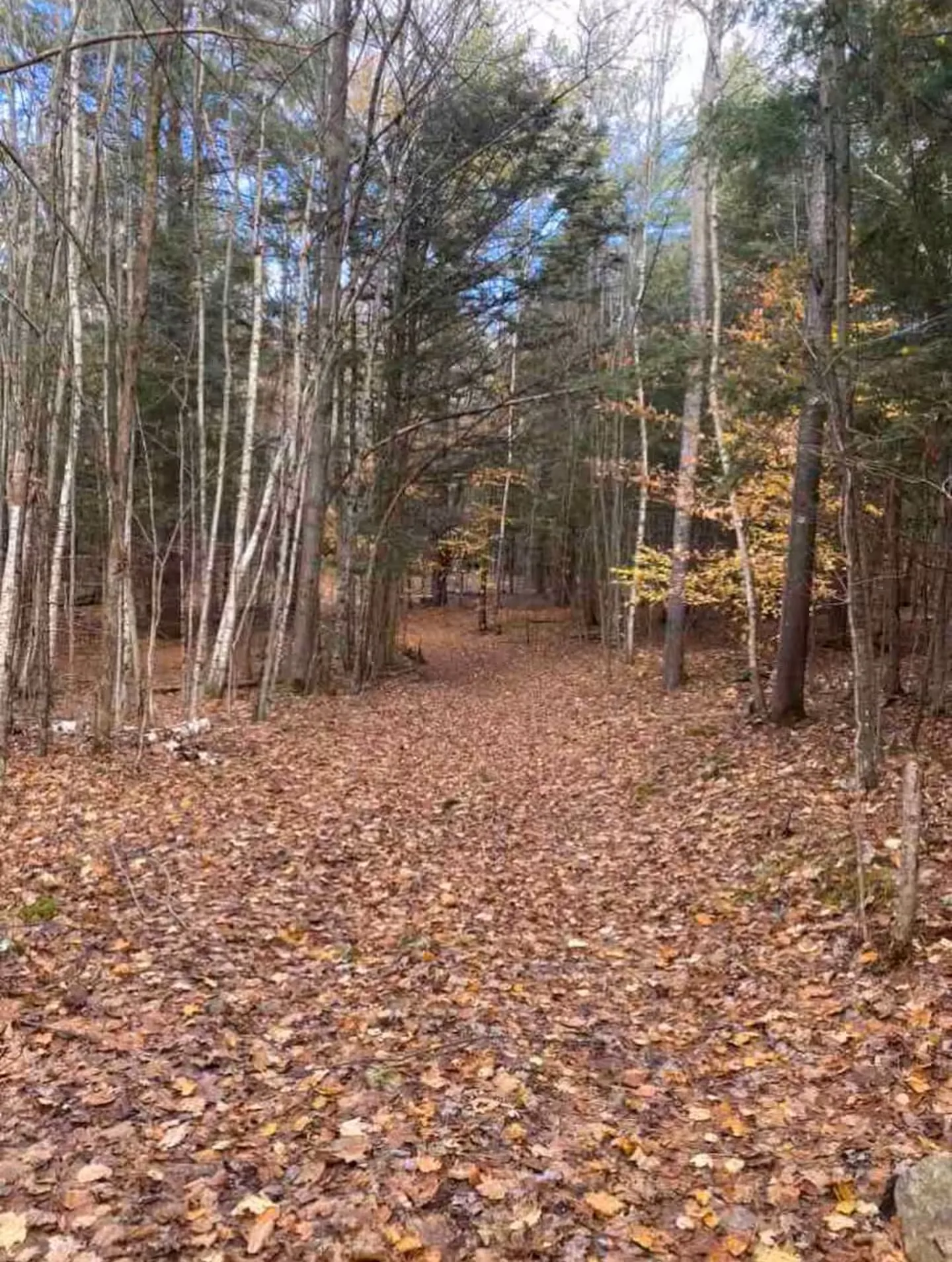 The Hemlock Cabin — Additional Photos (5)