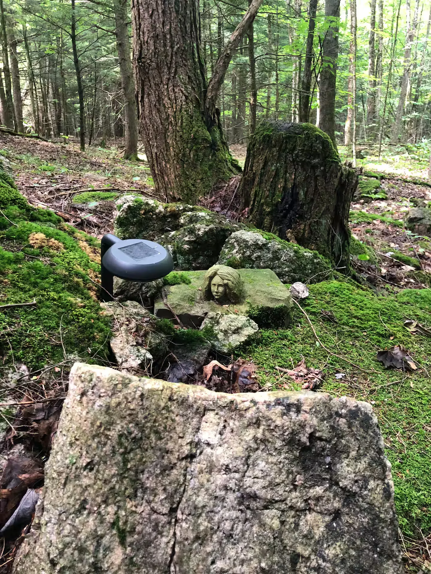 The Hemlock Cabin — Additional Photos (9)